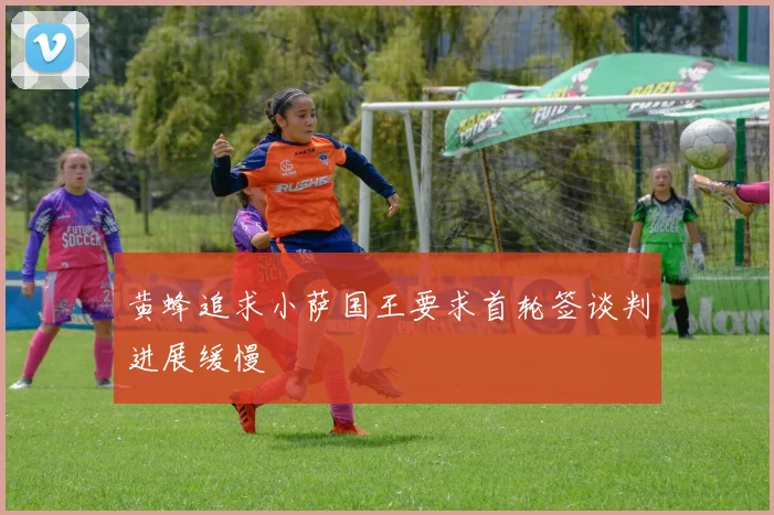 黄蜂追求小萨国王要求首轮签谈判进展缓慢